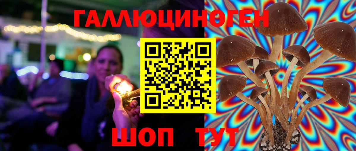 Печора  купить закладку  Галлюциногенные грибы GOLDEN TEACHER  Вход с VPN  Галлюциногенные грибы Psilocybe 